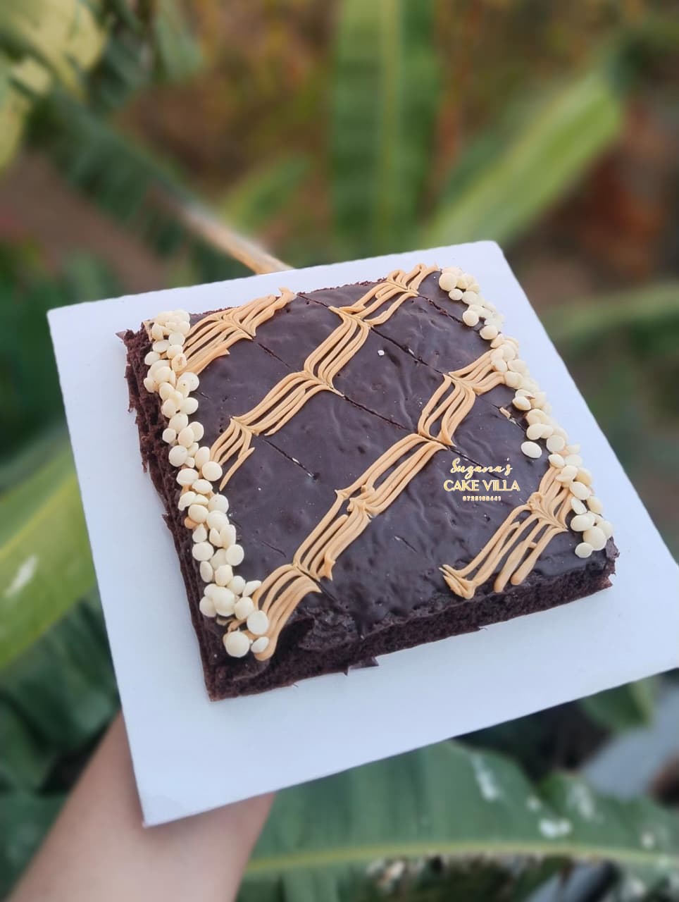 Brownie  Slab - Image 3