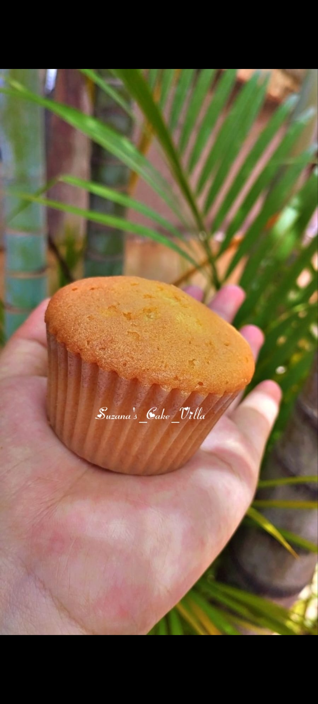 Cup Cake plain - Image 4