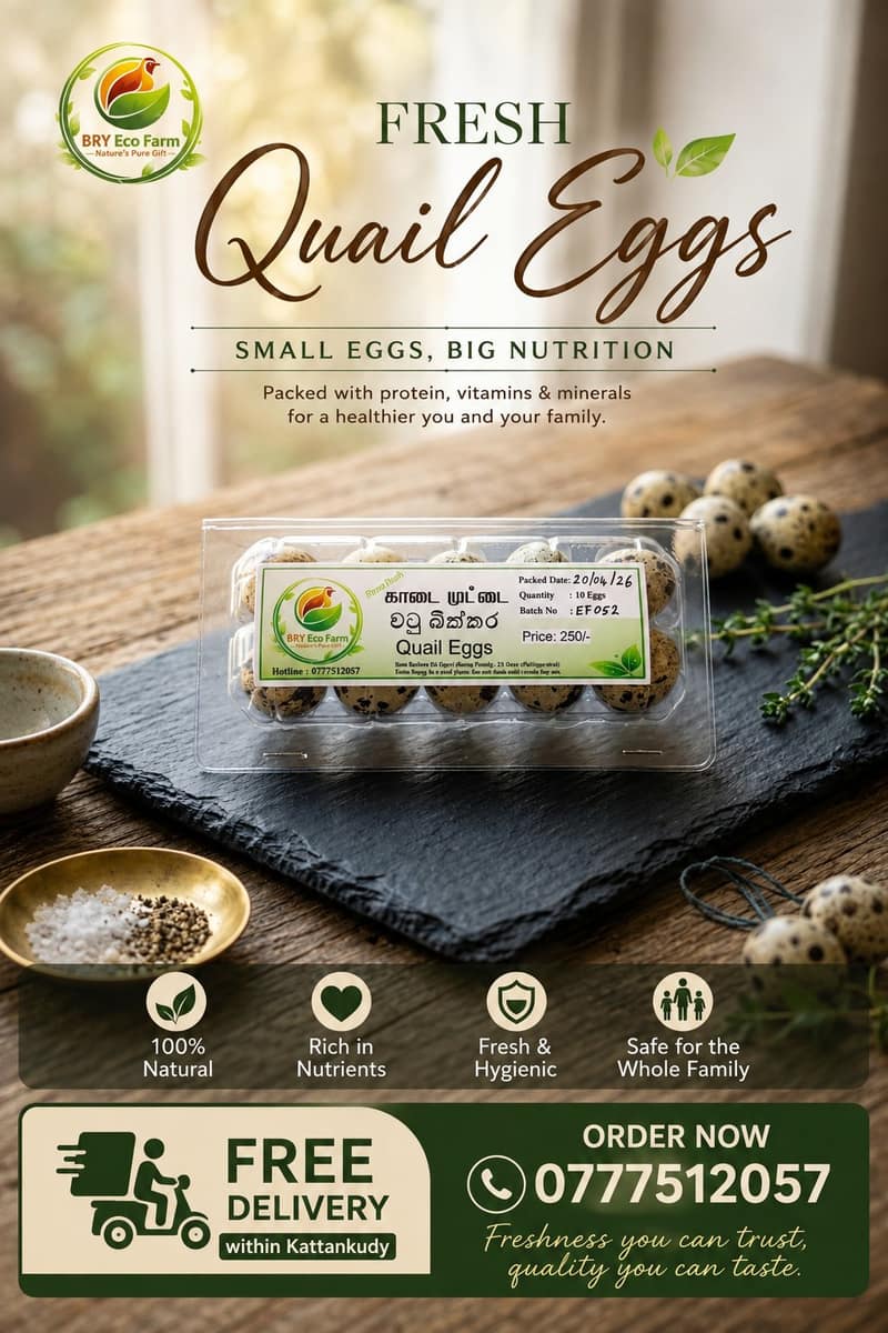 Quail Eggs